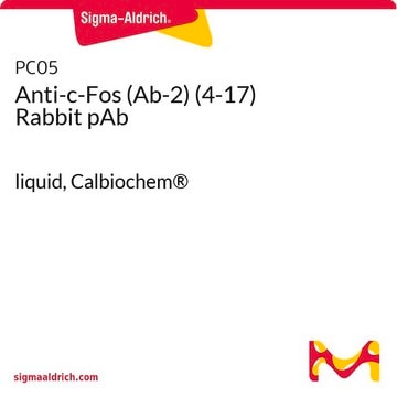 抗-c-Fos (Ab-2) (4-17) 兔pAb liquid, Calbiochem&#174;