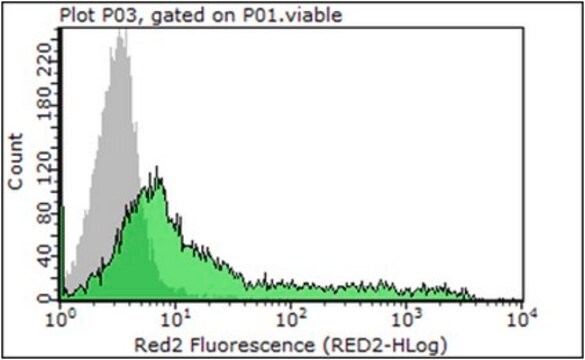 Anti-CD38 Antibody, clone 2H3-2 clone 2H3-2, from mouse