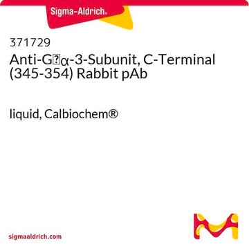 Anti-Gi&#945;-3-Subunit, C-Terminal (345-354) Rabbit pAb liquid, Calbiochem&#174;