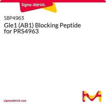 Gle1 (AB1) Blocking Peptide for PRS4963