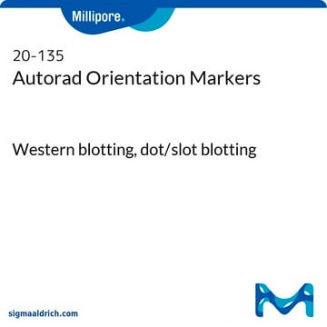 Autorad Orientation Markers Western blotting, dot/slot blotting