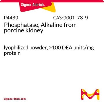 Phosphatase, alkalisch aus Schweineniere lyophilized powder, &#8805;100&#160;DEA units/mg protein