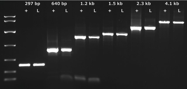 KAPA3G 植物 PCR 试剂盒