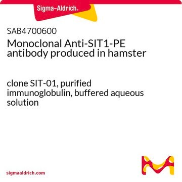 Monoclonal Anti-SIT1-PE antibody produced in hamster clone SIT-01, purified immunoglobulin, buffered aqueous solution