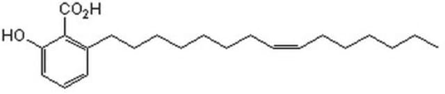 (Z)-2-羟基-6-(十五-8-烯-1-基)苯甲酸 A cell-permeable anacardic acid analog that inhibits protein SUMO .