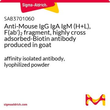 Anti-Mouse IgG IgA IgM (H+L), F(ab&#8242;)2 fragment, highly cross adsorbed-Biotin antibody produced in goat affinity isolated antibody, lyophilized powder