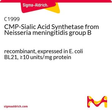 CMP-Sialic Acid Synthetase from Neisseria meningitidis group B recombinant, expressed in E. coli BL21, &#8805;10&#160;units/mg protein