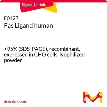 Fas Ligand human &gt;95% (SDS-PAGE), recombinant, expressed in CHO cells, lyophilized powder