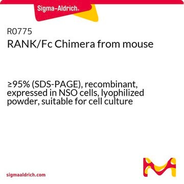 RANK/Fc Chimera from mouse &#8805;95% (SDS-PAGE), recombinant, expressed in NSO cells, lyophilized powder, suitable for cell culture