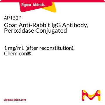 Anticuerpo de cabra anti-IgG de conejo conjugado con peroxidasa 1&#160;mg/mL (after reconstitution), Chemicon&#174;