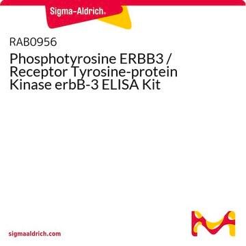 Phosphotyrosine ERBB3 / Receptor Tyrosine-protein Kinase erbB-3 ELISA Kit