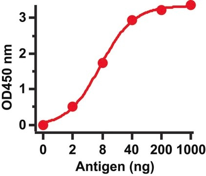 Anti-SARS-CoV Spike antibody produced in rabbit affinity isolated antibody