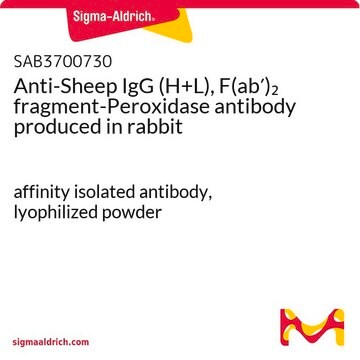 Anti-Sheep IgG (H+L), F(ab&#8242;)2 fragment-Peroxidase antibody produced in rabbit affinity isolated antibody, lyophilized powder