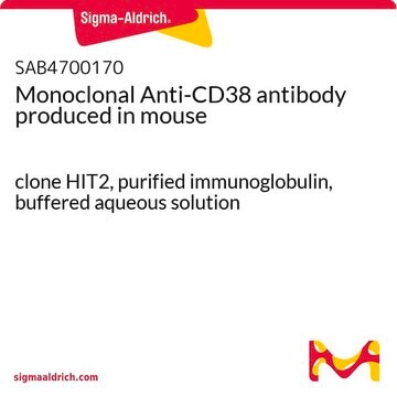 Monoclonal Anti-CD38 antibody produced in mouse clone HIT2, purified immunoglobulin, buffered aqueous solution