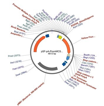 PSF-PA-PROMMCS-KRYFP - PROMOTERLESS MULTIPLE CLONING SITE YFP PLASMID plasmid vector for molecular cloning