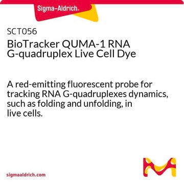 BioTracker QUMA-1-RNA-G-Quadruplex-Farbstoff für lebende Zellen A red-emitting fluorescent probe for tracking RNA G-quadruplexes dynamics, such as folding and unfolding, in live cells.