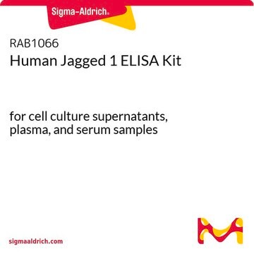 Human Jagged 1 ELISA Kit for cell culture supernatants, plasma, and serum samples