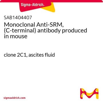 Monoclonal Anti-SRM, (C-terminal) antibody produced in mouse clone 2C1, ascites fluid