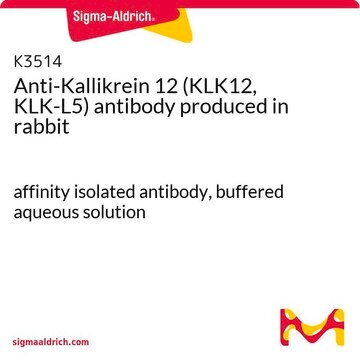 Anti-Kallikrein 12 (KLK12, KLK-L5) antibody produced in rabbit affinity isolated antibody, buffered aqueous solution