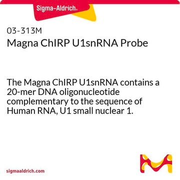 Magna ChIRP U1snRNA Probe The Magna ChIRP U1snRNA contains a 20-mer DNA oligonucleotide complementary to the sequence of Human RNA, U1 small nuclear 1.