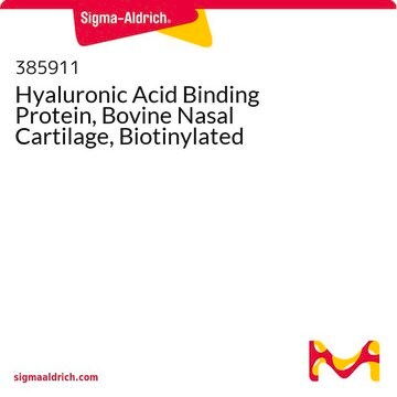 Hyaluronsäure-bindendes Protein, Rindernasenknorpel, biotinyliert