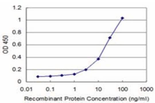 Monoclonal Anti-NEU2 antibody produced in mouse clone 3G9, purified immunoglobulin, buffered aqueous solution