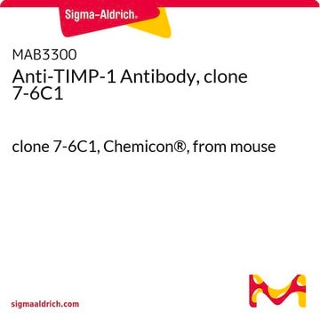 Anti-TIMP-1 Antibody, clone 7-6C1 clone 7-6C1, Chemicon&#174;, from mouse