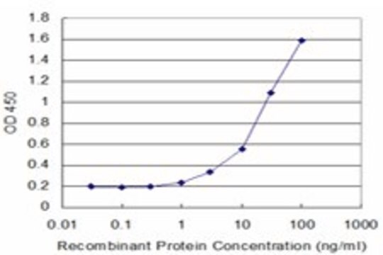 Monoclonal Anti-FZD2 antibody produced in mouse clone 1E7, purified immunoglobulin, buffered aqueous solution