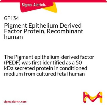 Pigment Epithelium Derived Factor Protein, Recombinant human The Pigment epithelium-derived factor (PEDF) was first identified as a 50 kDa secreted protein in conditioned medium from cultured fetal human retinal pigment epithelium (RPE) cells (Tombran-Tink et al., 1991).