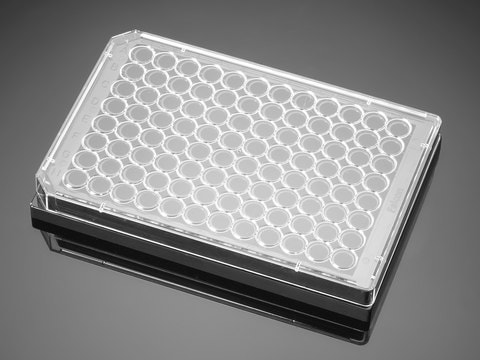 Corning&#174; BioCoat&#8482; Poly-D-Lysine Microplate well size 96&#160;wells, flat bottom clear black wells, lid