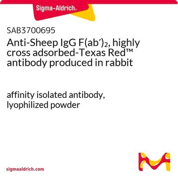 Anti-Sheep IgG F(ab&#8242;)2, highly cross adsorbed-Texas Red&#8482; antibody produced in rabbit affinity isolated antibody, lyophilized powder