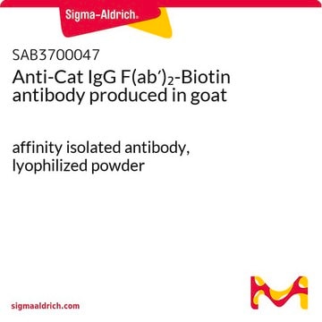 Anti-Cat IgG F(ab&#8242;)2-Biotin antibody produced in goat affinity isolated antibody, lyophilized powder