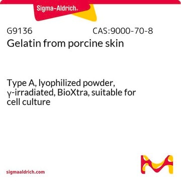 Gelatina from porcine skin Type A, lyophilized powder, &#947;-irradiated, BioXtra, suitable for cell culture