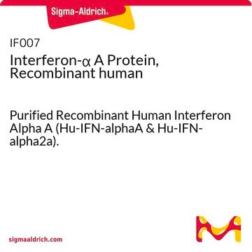 Proteína interferón-&#945; A recombinante humana Purified Recombinant Human Interferon Alpha A (Hu-IFN-alphaA &amp; Hu-IFN-alpha2a).