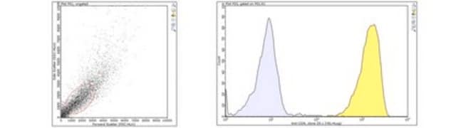 Anti-CD9 Antibody, clone Z9.1 clone Z9.1, from mouse