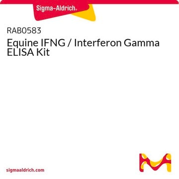 Equine IFNG / Interferon Gamma ELISA Kit