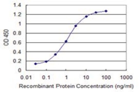 Monoclonal Anti-SLC19A3 antibody produced in mouse clone 3B2, purified immunoglobulin, buffered aqueous solution