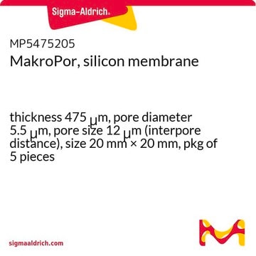 MakroPor, silicon membrane thickness 475&#160;&#956;m, pore diameter 5.5&#160;&#956;m, pore size 12&#160;&#956;m (interpore distance), size 20&#160;mm × 20&#160;mm, pkg of 5&#160;pieces