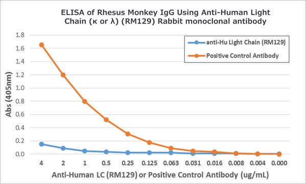 Anti-Human Ig Light Chain antibody, Rabbit monoclonal recombinant, expressed in HEK 293 cells, clone RM129, purified immunoglobulin