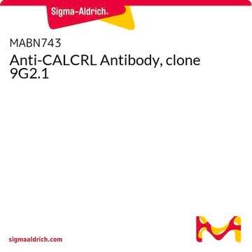 Anti-CALCRL Antibody, clone 9G2.1