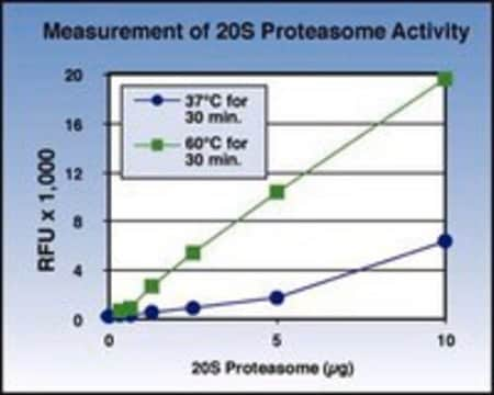 20S Proteasome Activity Assay, for cancer and apoptosis studies Sigma ...