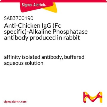 Anti-Chicken IgG (Fc specific)-Alkaline Phosphatase antibody produced in rabbit affinity isolated antibody, buffered aqueous solution