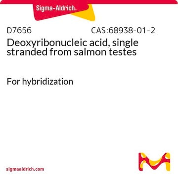 Deoxyribonucleic acid, single stranded from salmon testes For hybridization