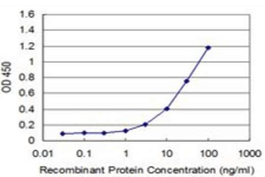 Monoclonal Anti-EGFR antibody produced in mouse clone 4H2, purified immunoglobulin, buffered aqueous solution