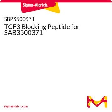 TCF3 Blocking Peptide for SAB3500371