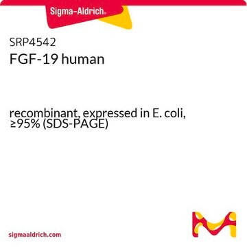 FGF-19 human recombinant, expressed in E. coli, &#8805;95% (SDS-PAGE)