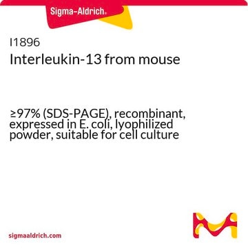 Interleukin-13 from mouse &#8805;97% (SDS-PAGE), recombinant, expressed in E. coli, lyophilized powder, suitable for cell culture