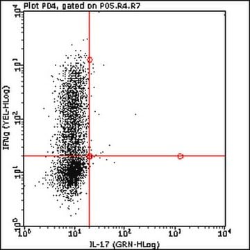 Anti-mouse IFN gamma -PE Antibody, clone XMG1.2 clone XMG1.2, from rat, PE