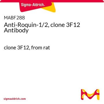 Anticorps anti-roquine&nbsp;1/2, clone&nbsp;3F12 clone 3F12, from rat