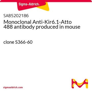 Monoclonal Anti-Kir6.1-Atto 488 antibody produced in mouse clone S366-60